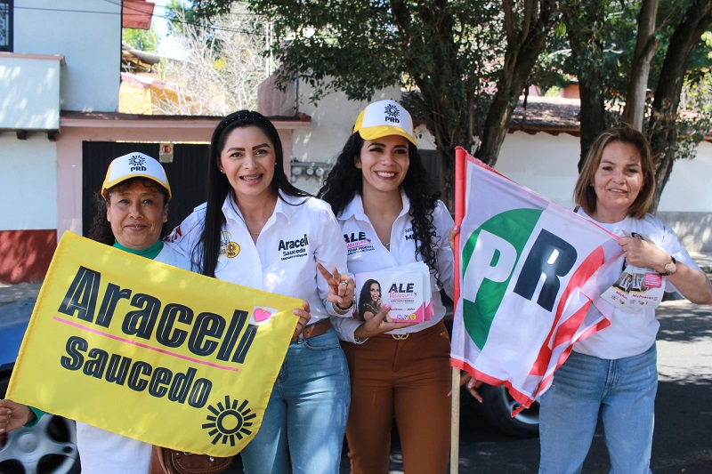 Araceli Saucedo, Michoacán