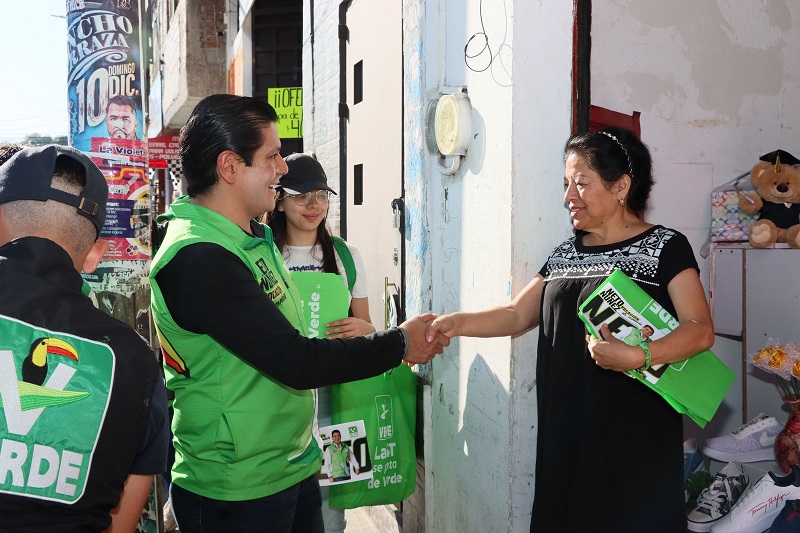 PVEM, Michoacán