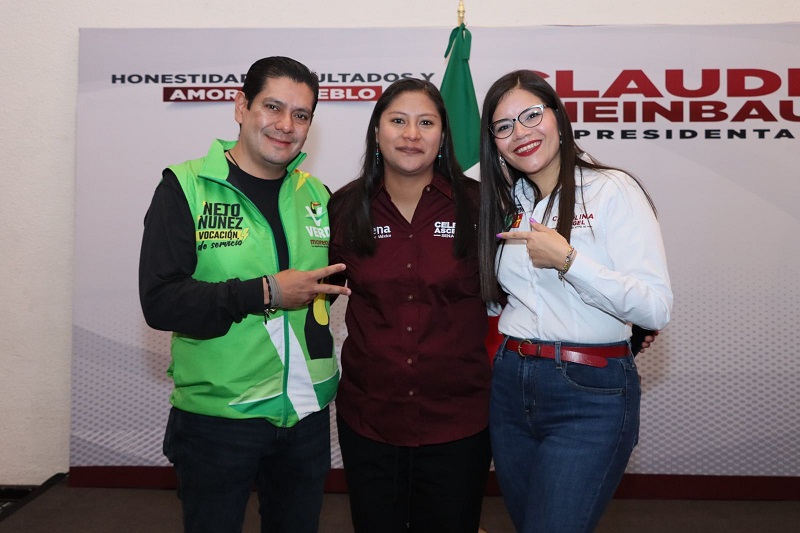 Ernesto Núñez, PVEM, Michoacán