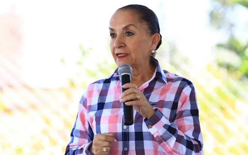 Julieta Gallardo, Congreso de Michoacán