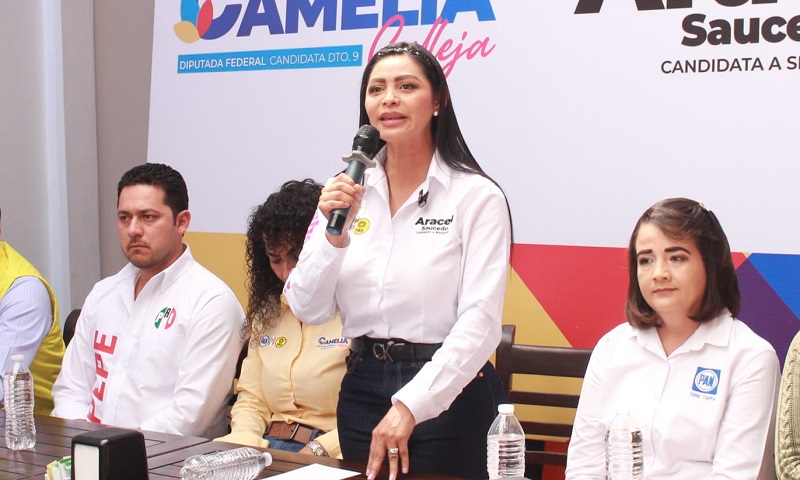 Michoacán, Araceli Saucedo, PRD
