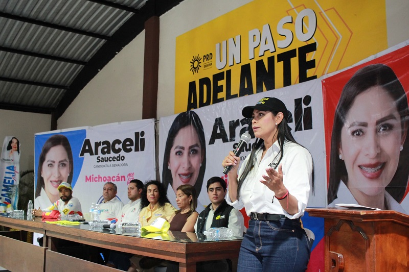 Araceli Saucedo, Michoacán, Fuerza y Corazón por México