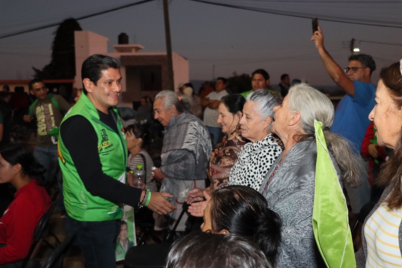 Michoacán, PVEM, Morena