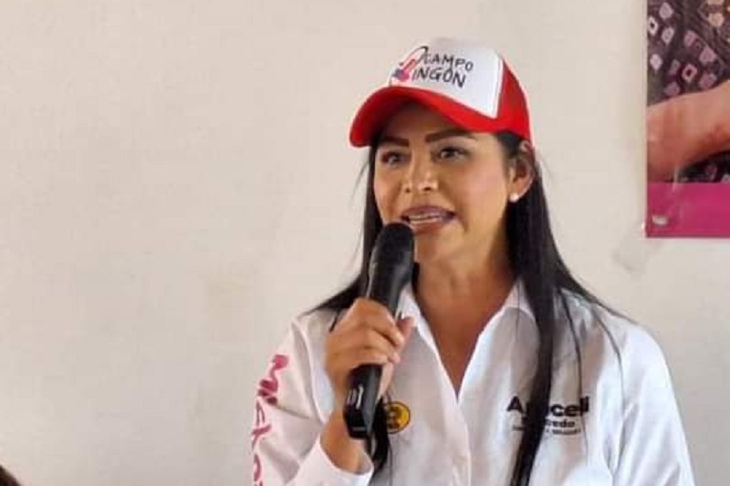 Fuerza y Corazón por México, Araceli Saucedo, FONDEN