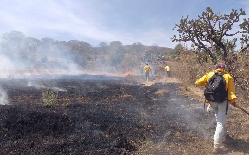 Incendio forestal