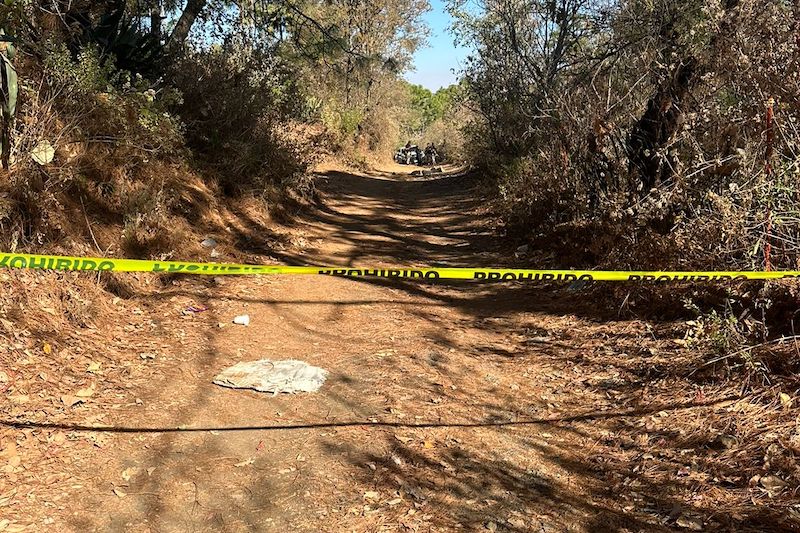 Inseguridad, Tangamandapio