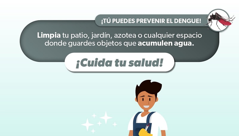 dengue, SSM Michoacán