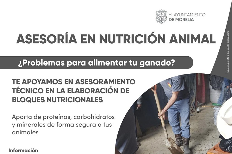 SADERMA, Nutrición animal, Morelia