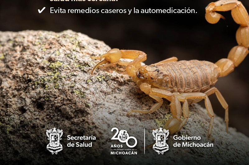 SSM Michoacán