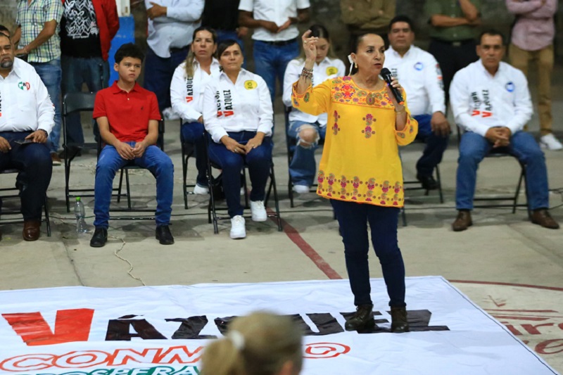 Julieta Gallardo, Congreso de Michoacán