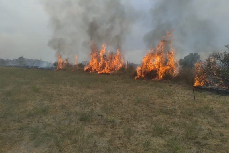 incendio forestal, Coalcomán, Michoacán