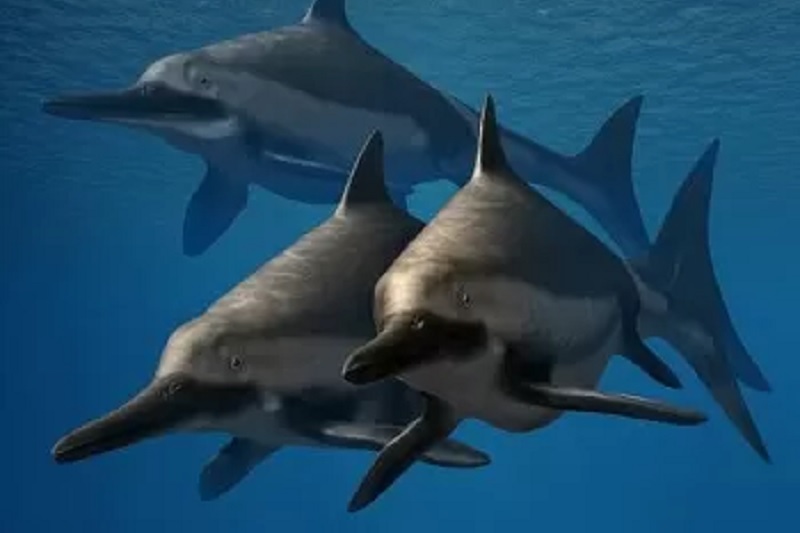 monstruo marino