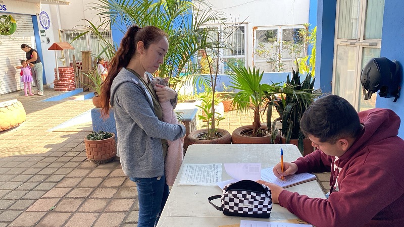 esterilización gratuita en Morelia