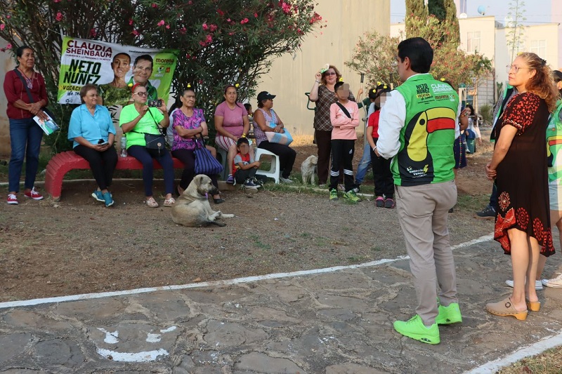 PVEM, Distrito 8 Morelia, Ernesto Núñez