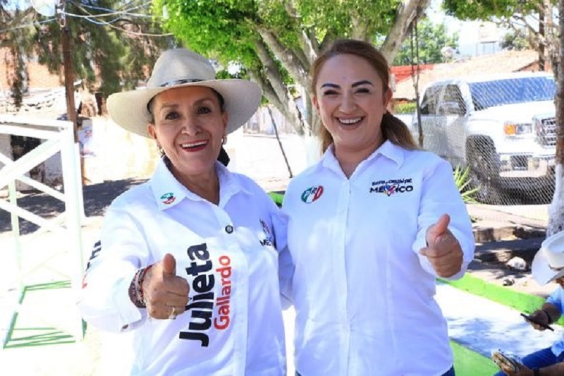 Julieta Gallardo, PRD, PRI, PAN