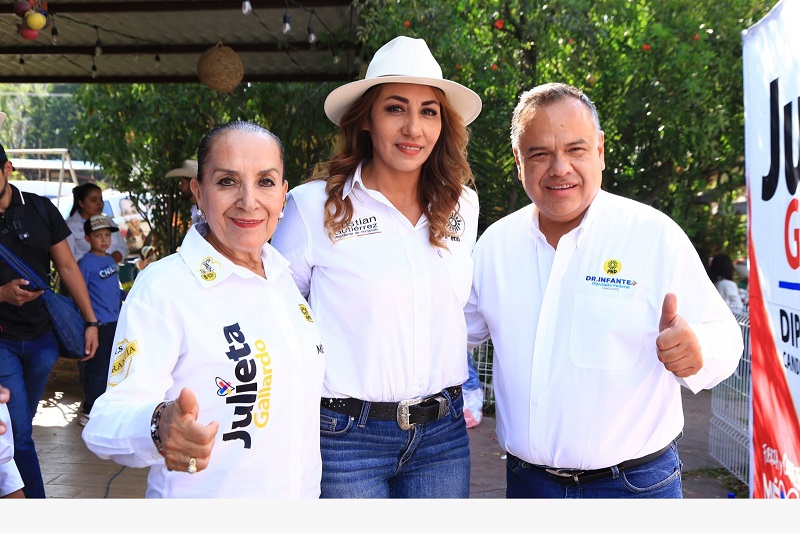 PRD, PRI, PAN, Julieta Gallardo