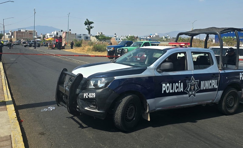 Zamora, SSP, FGE