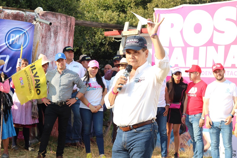 Fuerza y Corazón por México, Silvano Aureoles