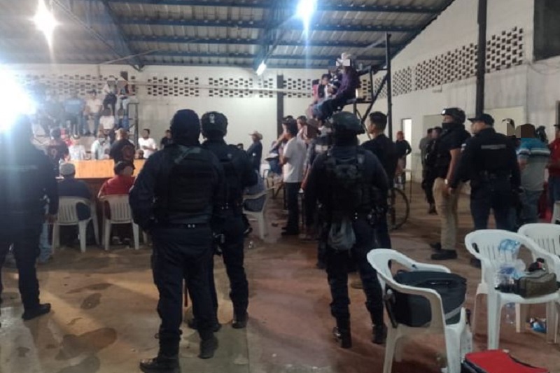 peleas de gallos clandestinas, SSP