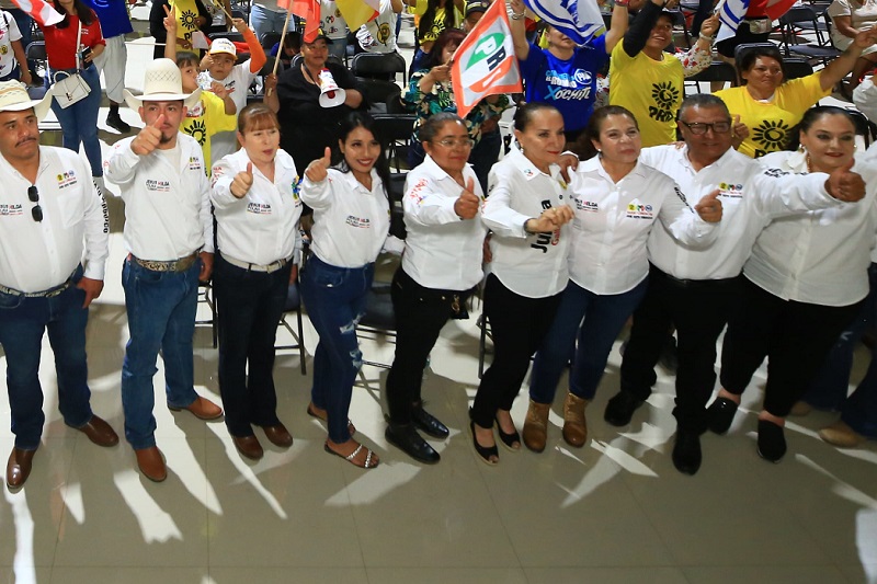Julieta Gallardo, PRD