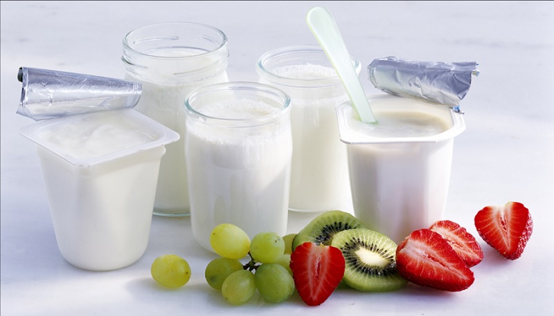 Profeco, Yogurt