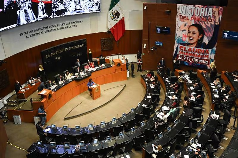 Morena 2024