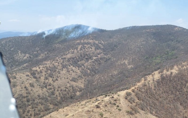 Incendio forestal, SSP, Cofom