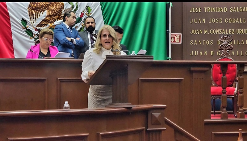 Luz García, PES
