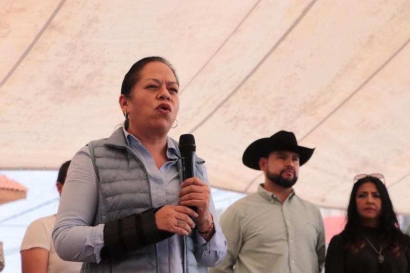 PRD Michoacán