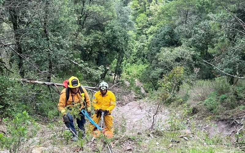 SEMEFO, Morelia, Accidente