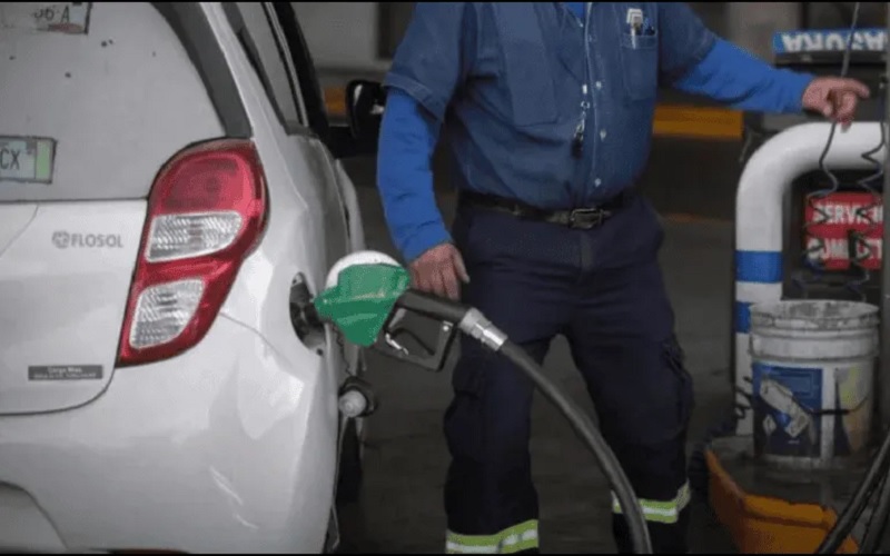 Profeco, Gasolina