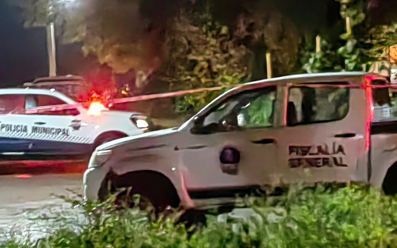 violencia, Michoacán