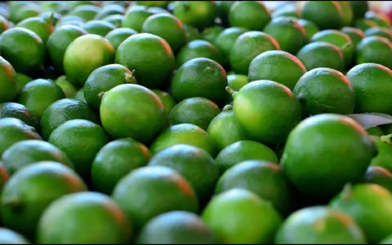 Limoneros, Michoacán, Paro