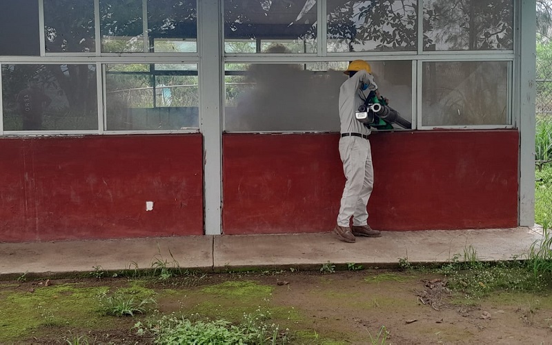 Dengue, SSM