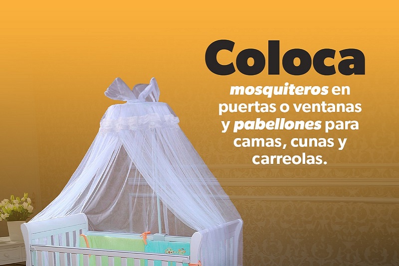 Dengue, SSM