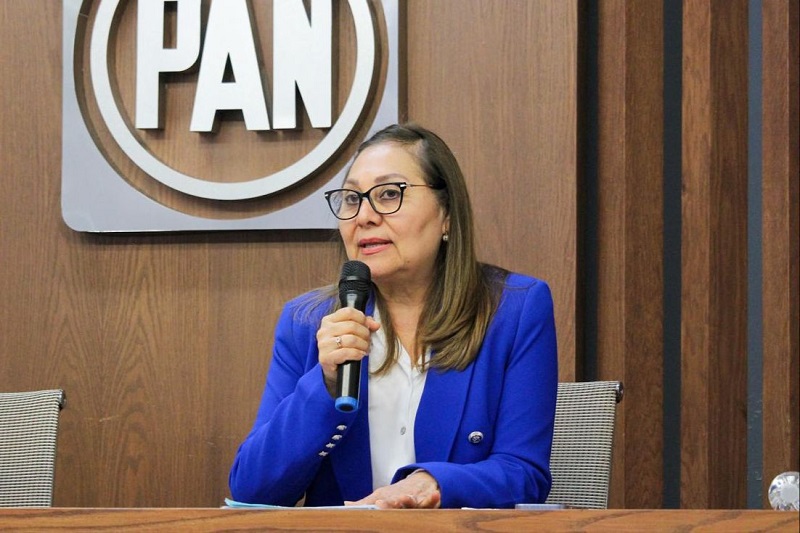 PAN Michoacán