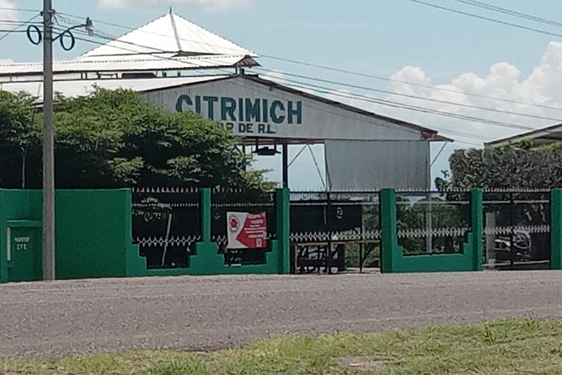 Apatzingán, Buenavista, Empacadoras de limón, Cierre, Inseguridad