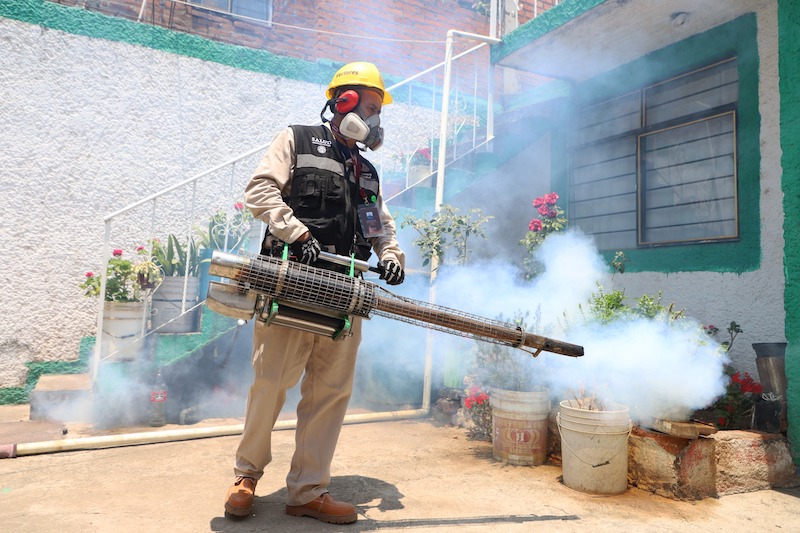 SSM vs. dengue