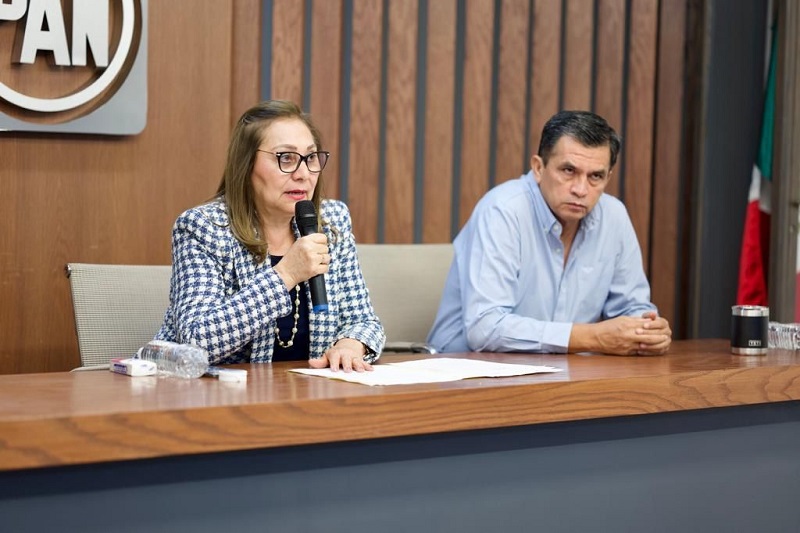 PAN Michoacán