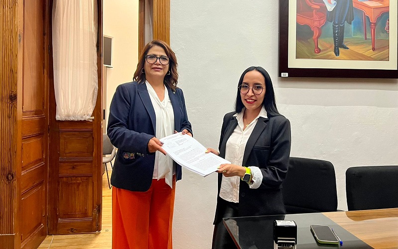Fabiola Alanís, Aborto, Congreso de Michoacán