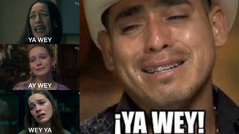 Academia Mexicana de la Lengua