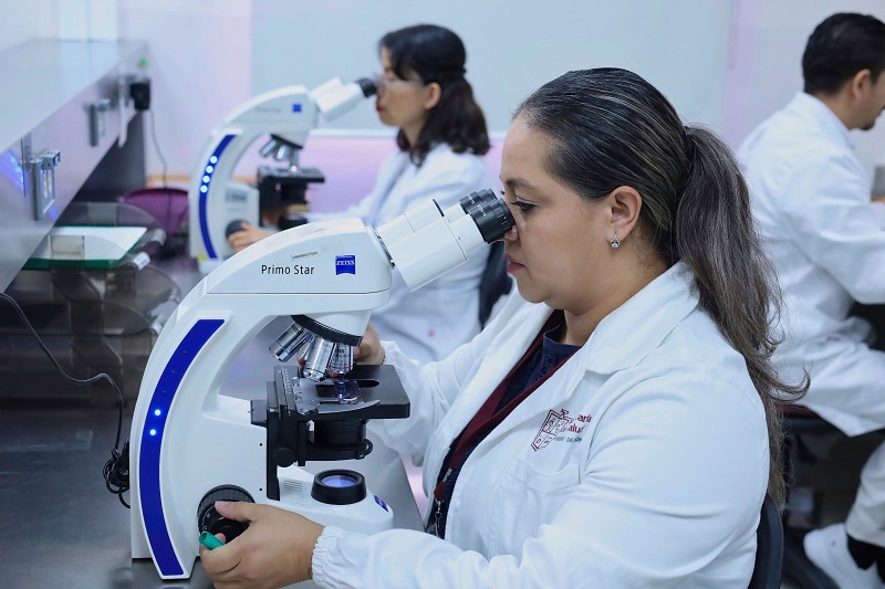 SSM Michoacán