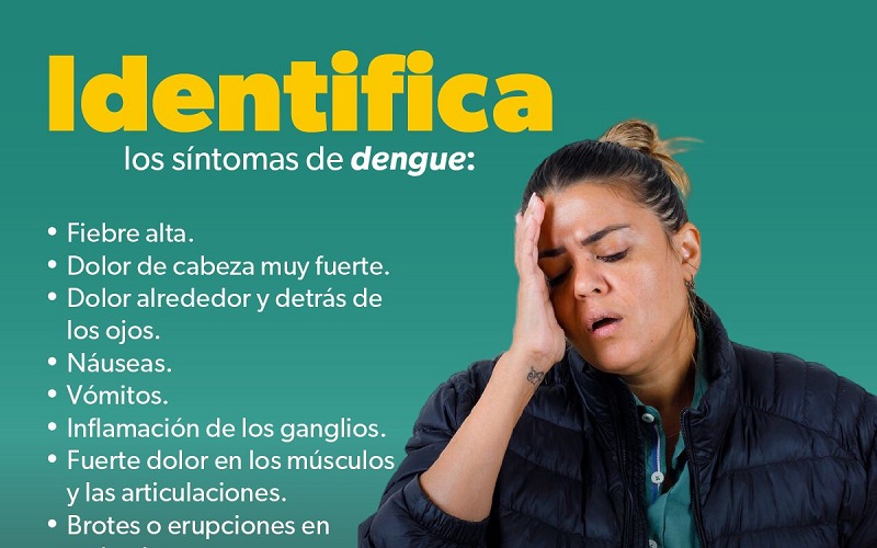 dengue, SSM, SEE
