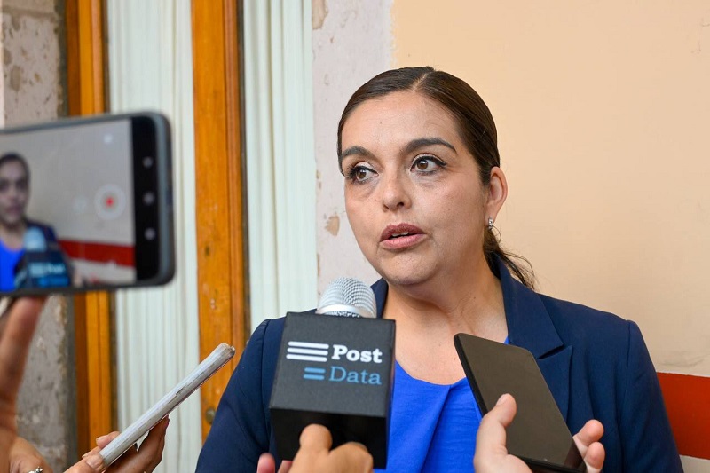 PAN Michoacán, Teresita Herrera