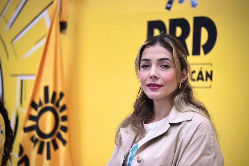 Brissa Arroyo Martínez, PRD