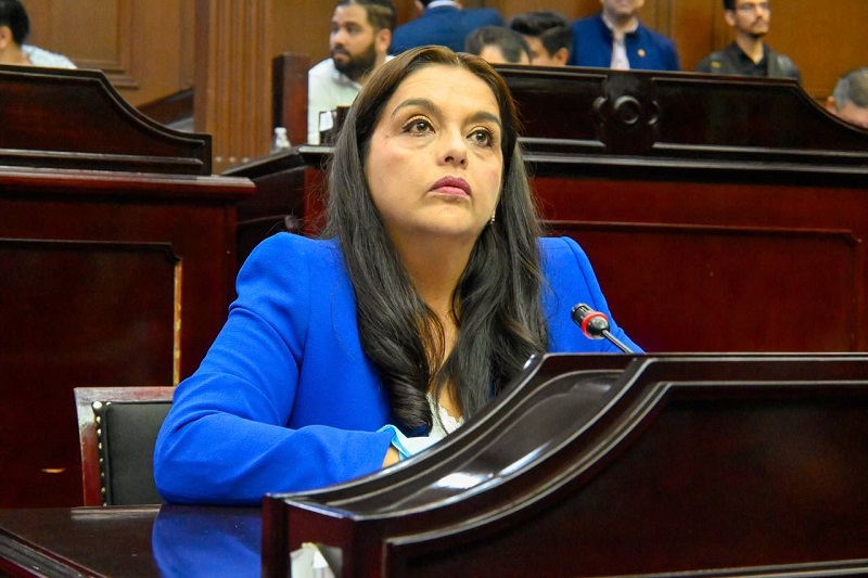 PAN Michoacán