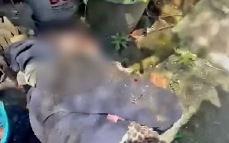 Uruapan, Homicidio