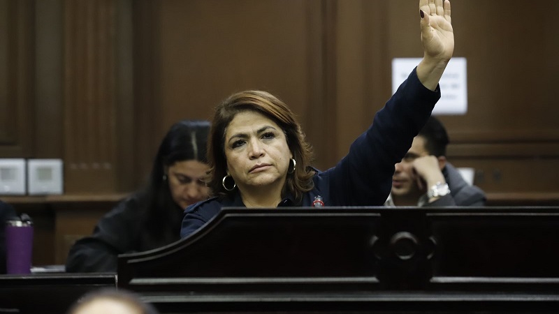 Congreso de Michoacán, Fabiola Alanís