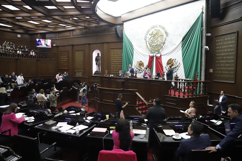 Alma Bahena, Congreso de Michoacán