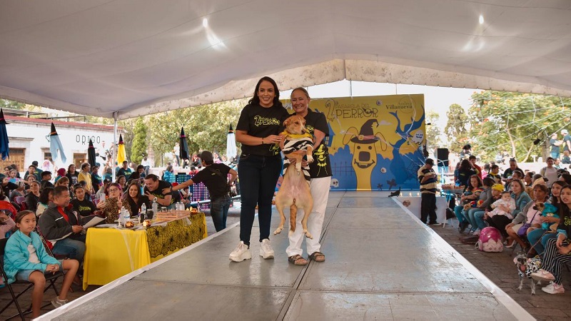 Andrea Villanueva, Morelia, Perros